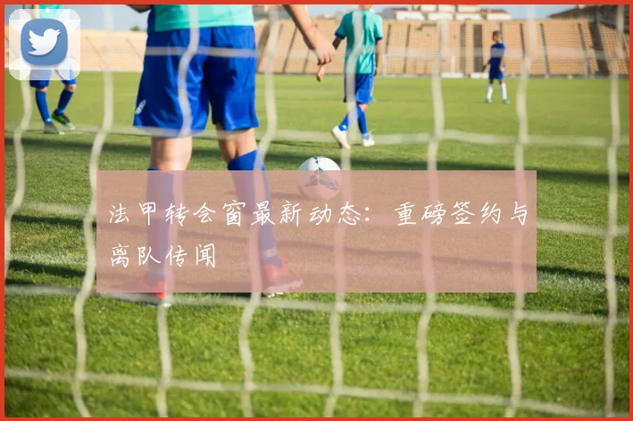 法甲转会窗最新动态：重磅签约与离队传闻