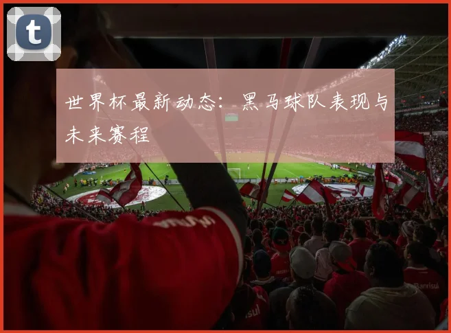 世界杯最新动态：黑马球队表现与未来赛程