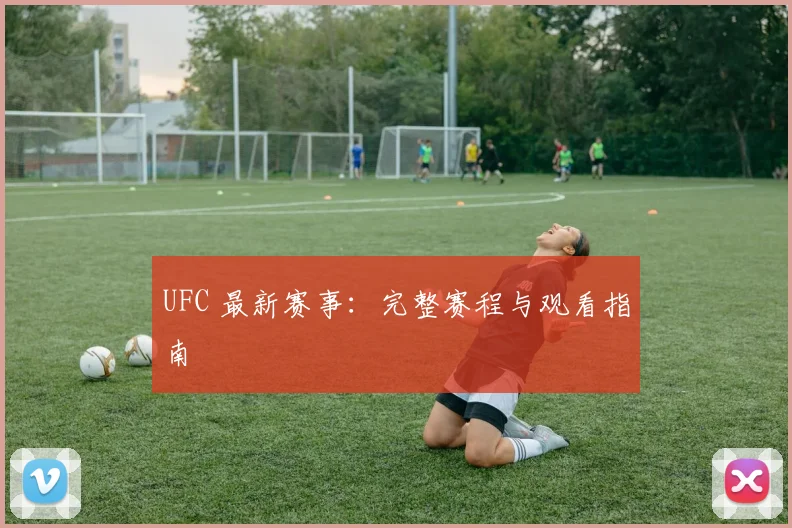 UFC 最新赛事：完整赛程与观看指南